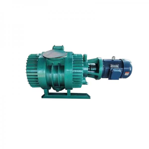 Quality 1.10kw-11kw Roots Vacuum Pump Used In Electronics / Machinery ZJ ZJB Series for sale