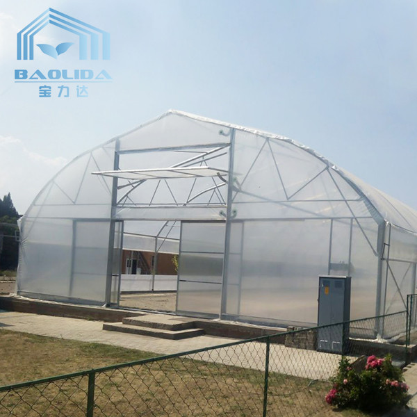 Quality Single Span Clear Film Tunnel Top Vent Greenhouse Sri Lanka Prefabricated for sale