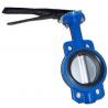China Manual Operated Wafer valve butterfly Ductile Iron GGG40 Body factory
