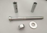China High Strength Iron Mechanical Anchor Bolt M10-M30 , Chemical Anchor Fasteners factory