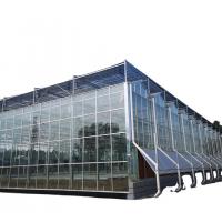 Quality Hot Dip Galvanized Structure Glass Venlo Agricultural Greenhouse Weather for sale