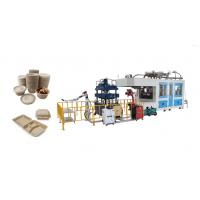 Quality Smart Disposable Paper Pulp Molding Food Tray Producing Machine With Two Robot for sale