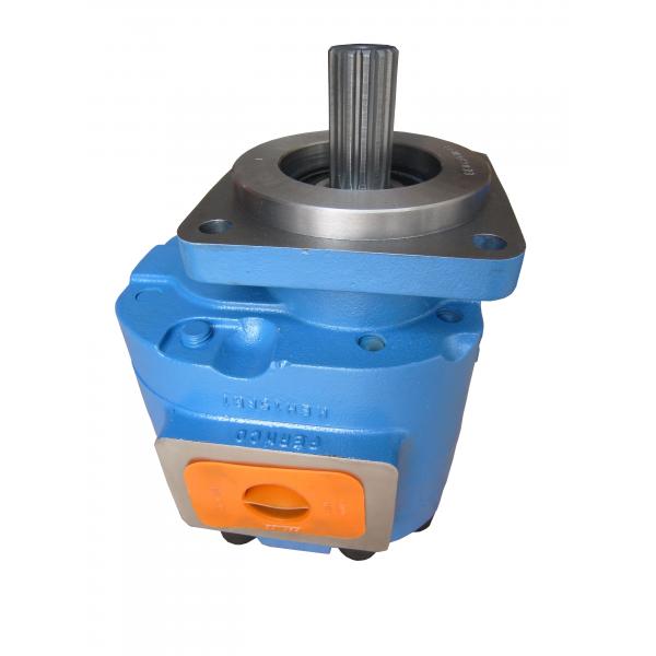 Quality 11C0057 Gear Pump for Wheel Loader Spare Parts for sale