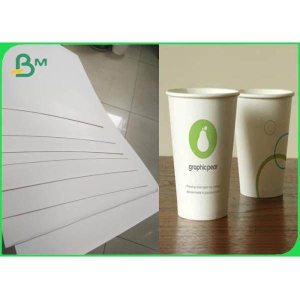 Quality Fully Renewable Cupstock Paper Rolls Coated Polyethylene 180g + 10gsm for sale