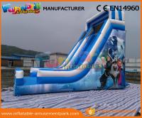 China Blue PVC Tarpaulin Frozen Commercial Inflatable Slide Inflatable Dry Slide for Kids factory