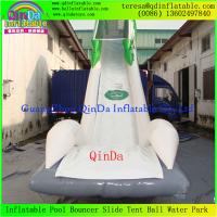 China Enjoy Giant Inflatable Water Slide For Adult, Inflatable Toy, Adults Inflatable Slide factory