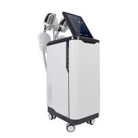 China Cool Sculpting EMS Slimming Laser Machine Non Invasive Eliminating Fat factory