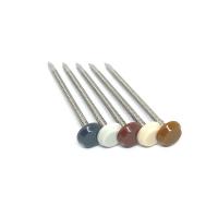 China 50MM 65MM Nylon PA6 Plastic Headed Nails For Profile factory