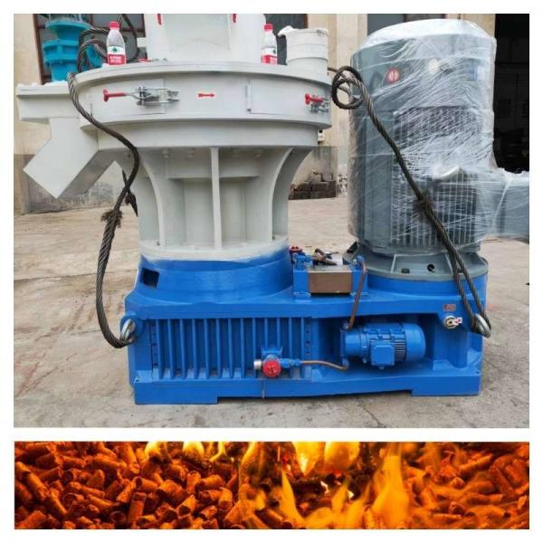 Quality 55kw Biomass Pellet Production Line 800-1000kg/H Ring Die Pellet Production Line for sale