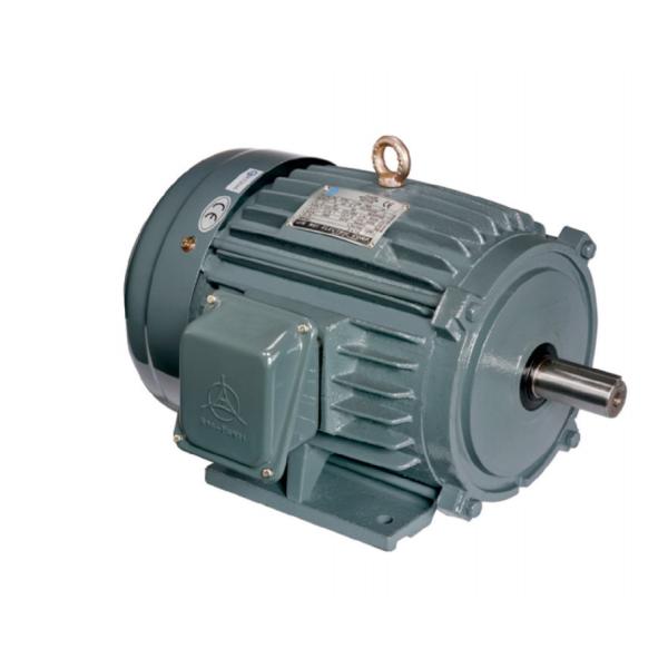 Quality Ip55 Iec60034 14 Iec Metric Motor for sale