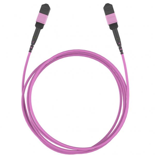 Quality MPO Patch Cord, MPO Fiber Cable, MPO Trunk Cable, MPO/MTP Cable for sale
