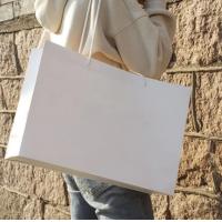 Quality Reusable Plain White Paper Bags , Custom Made Paper Bags Smooth Soft Edge for sale