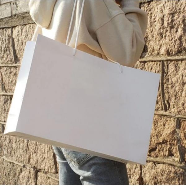 Quality Reusable Plain White Paper Bags , Custom Made Paper Bags Smooth  Soft Edge for sale