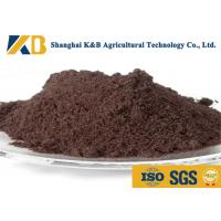 China Natural Bulk Packing Dried Fish Powder No Sand For Animal Chicken Feedstuff factory