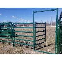 Quality 6ft X 12ft Livestock Metal Cattle Fence Panels Heavy Duty Horse Round Pen Panels for sale