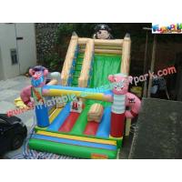 China Child Large Customized Commercial Inflatable Slide , PVC Slides With CE Blower factory