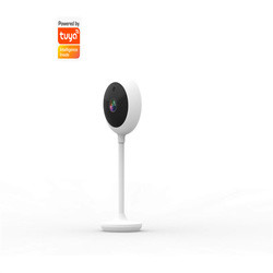 Quality Remote Control Tuya Smart Camera Wifi Two Way 10m Night Vision Motion Sensor for sale
