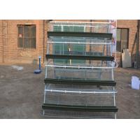 China Hens Galvanized Layer Battery Poultry Chicken Cages For Sale In Philippines factory
