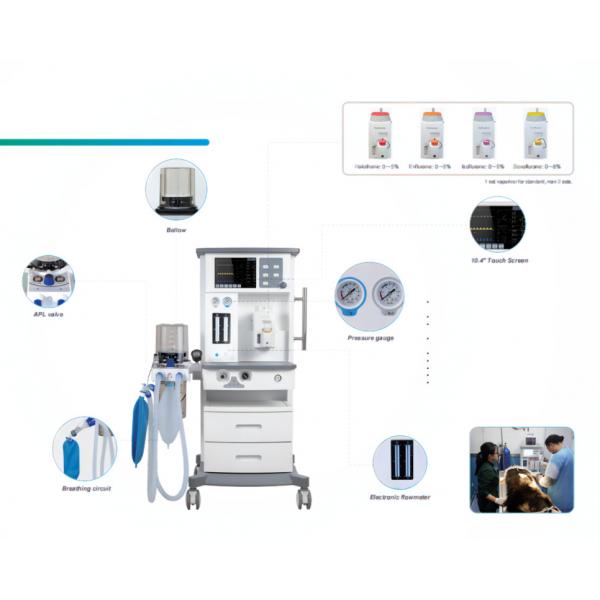 Quality 10.4" Touch Screen Display Veterinary Animal Anesthesia Machine Real time for sale