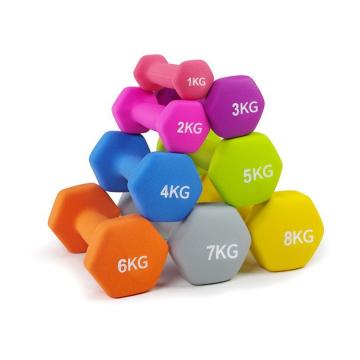Quality Rubber Gym Fitness Dumbbells Custom Logo Home Use Fitness Gym Equipment for sale