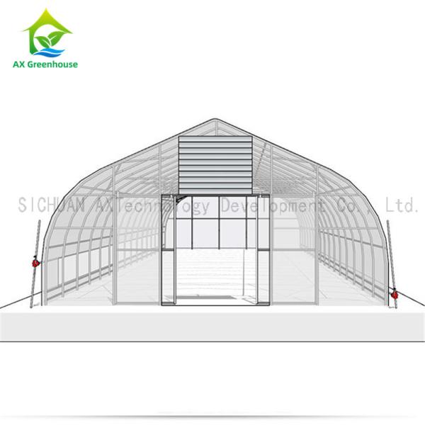 Quality Agricultural Hydroponic Single Span Greenhouse For Mushroom Cultivation for sale