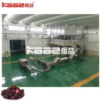 China Hygienic Complete Juice Production Line Processing Machine For Juice Filling Machine factory