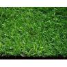 China cheap landscaping artificial grass Popular in southeast Asia factory