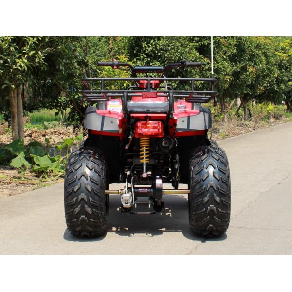Quality Large Air Cooled 10" Rim 4 Stroke 200c Four Wheel Atv Manual Clutch for sale