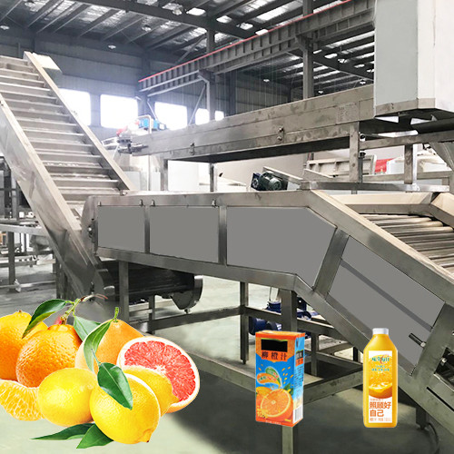 Quality Professional Tangerine Citrus Processing Equipment 5T/H  ISO Certificate for sale