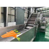 China Fruit And Vegetable Processing Equipment Carrot Processing Plant Energy Saving factory