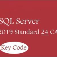 China 2019 24 CALs  Windows SQL Server , Standard Sql Express Windows Server 2019 factory