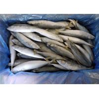 China High Protein 80g 100g Pacific IQF Frozen Mackerel Fish factory