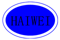 China Shenzhen Haiwei Electronic Co., Ltd logo