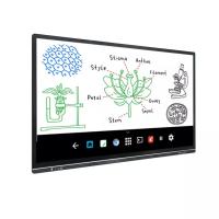 china 55 Inch 4k All In One Whiteboard Interactive Smart Board