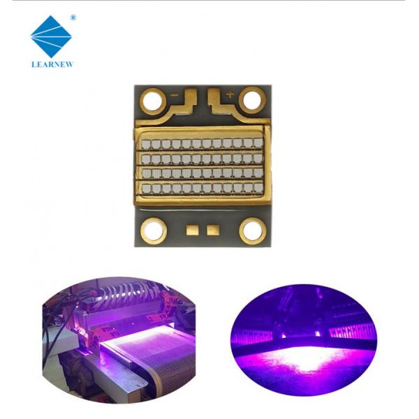 Quality CE RoHS High Power COB LED 365m 385nm UVA LED Chips for sale