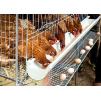 Quality Egg Layer Chicken Battery Cage , Farm Laying Hens Poultry Layer Cage System for sale