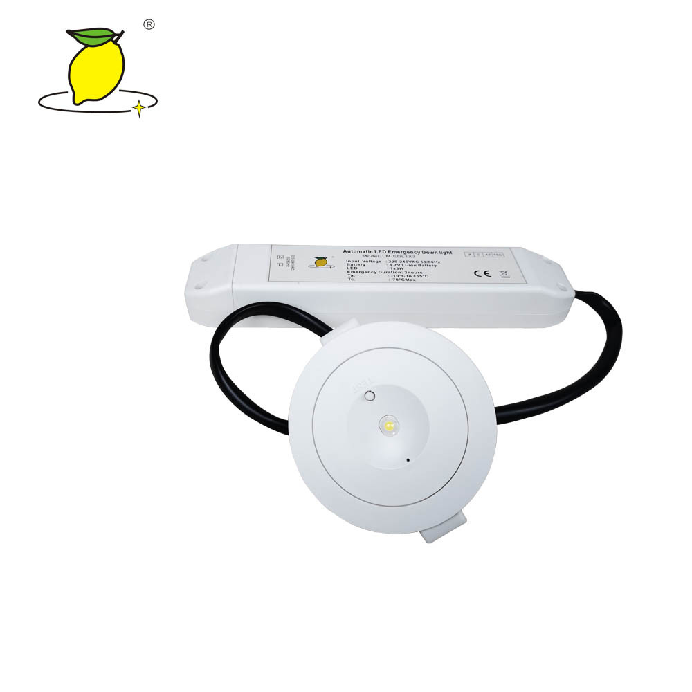 China 3W Emergency Downlight , Professional LED Emergency Light Fixture factory
