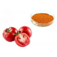 China 6% 10% 20% Lycopene 502-65-8 Dehydrated Tomato Fruit Extract factory