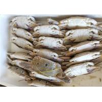 China 3ppm Histamine Whole Round 200g Three Spot Swimming Crab factory