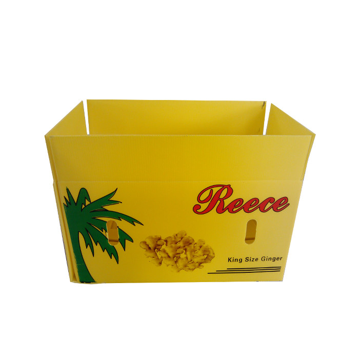 China PP Corrugated Plastic Box Coroplast Fruit Packaging Box Customized Recyclable Foldable factory