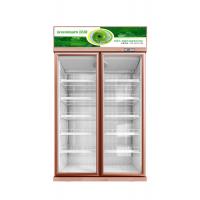 China Luxury Vertical Glass Door Display Cooler For Beverage Dynamic Cooling for sale