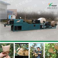 China Pear protective paper bag form machine factory