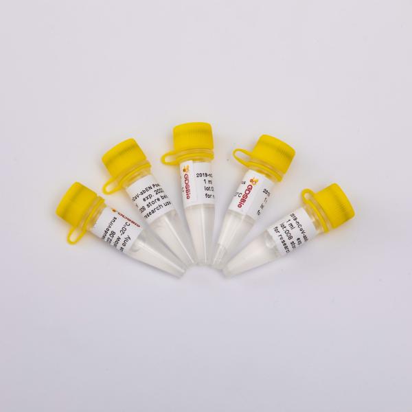 Quality GDSBio Nucleic Acid Purification Kit 2019-NCoV-AbEN Pseudovirus V1001 V1002 for sale