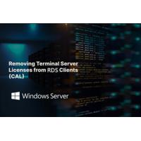 China Windows Server 2022 Remote Desktop Service 50 User Connections cal license factory