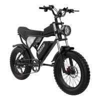 Quality 25MPH 20" Electric Fat Tyre Mountain Bike Urban City Electric Bicycles 48V20AH for sale