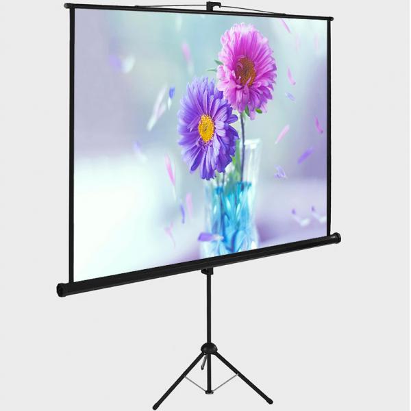 Quality Adjustable Outdoor Projector Screen Matte White Tripod 1:1 Format for sale