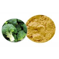 China Brown Yellow Powder 100% Pure Plant Extracts , Organic Broccoli Sprout Powder ISO9001 factory