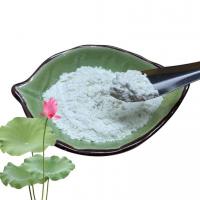 China Functional Lotus Leaf Extract 10% 50% 98% Nuciferine Powder Pharmaceutical Grade factory