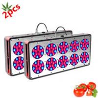 China orchid seedings hydroponic full spectrum 450w Apollo 10 led grow lights for america and eu factory