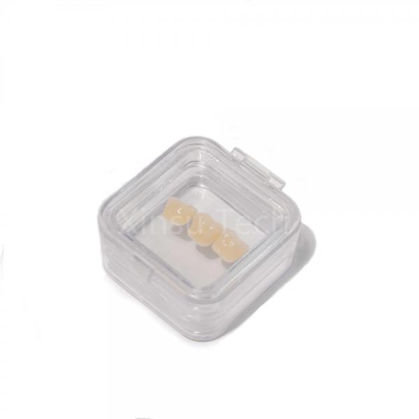 Quality 2" Square Shape Dental Crown Box For Ceramic Crowns Dental Lab for sale